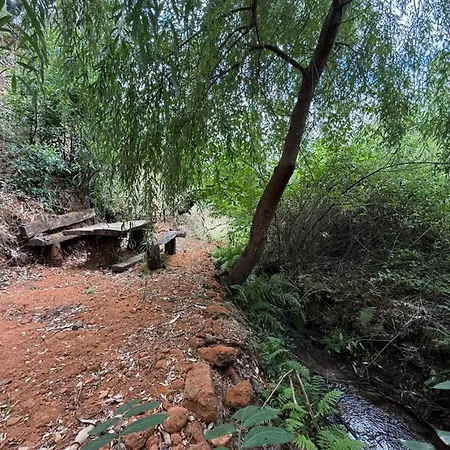 Дом отдыха Quercus Lounge Ансьян