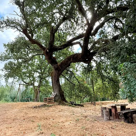 Дом отдыха Quercus Lounge *