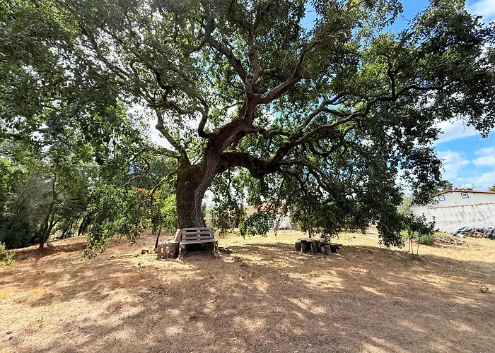 Quercus Lounge Ancião
