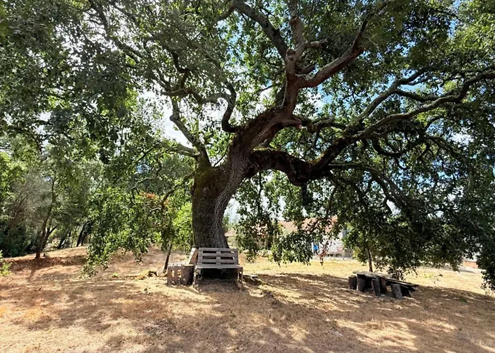 Quercus Lounge Ancião