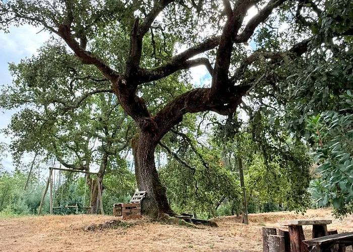 Semesterbostad Quercus Lounge *